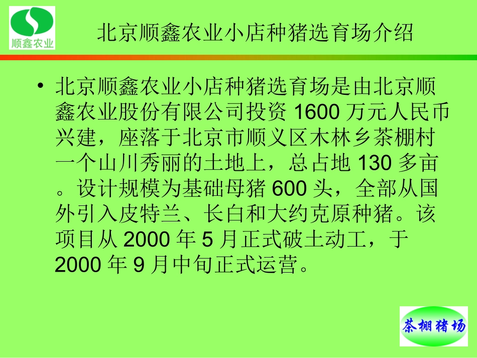 最新英国种猪的考察和引进_第3页