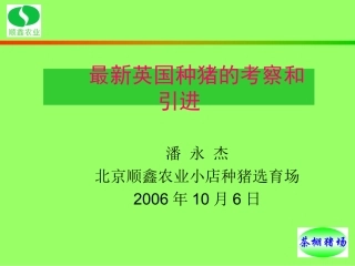 最新英国种猪的考察和引进