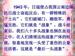 最后一头战象PPT(完整版)