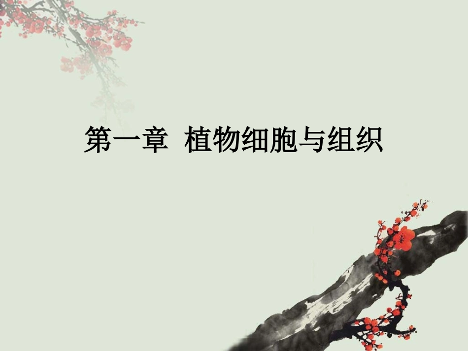 景观植物观赏_第1页