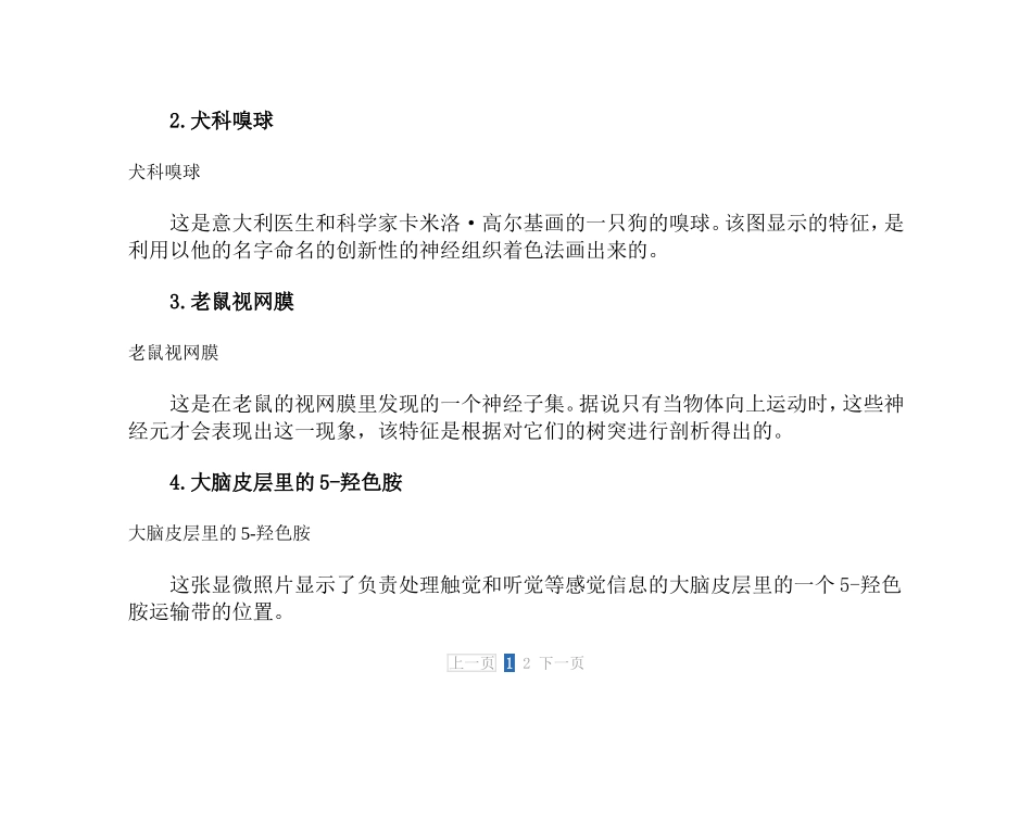 显微镜下的大脑：海马状突起负责认知与记忆_0_第2页
