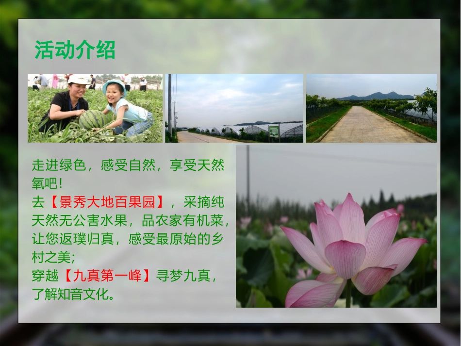 景秀大地丛林穿越之旅_第2页