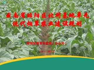 昭通市昭阳区2012年基地单元现代烟草农业建设规划汇报