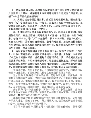 早熟嫩食南瓜三绿早生栽培技术要点