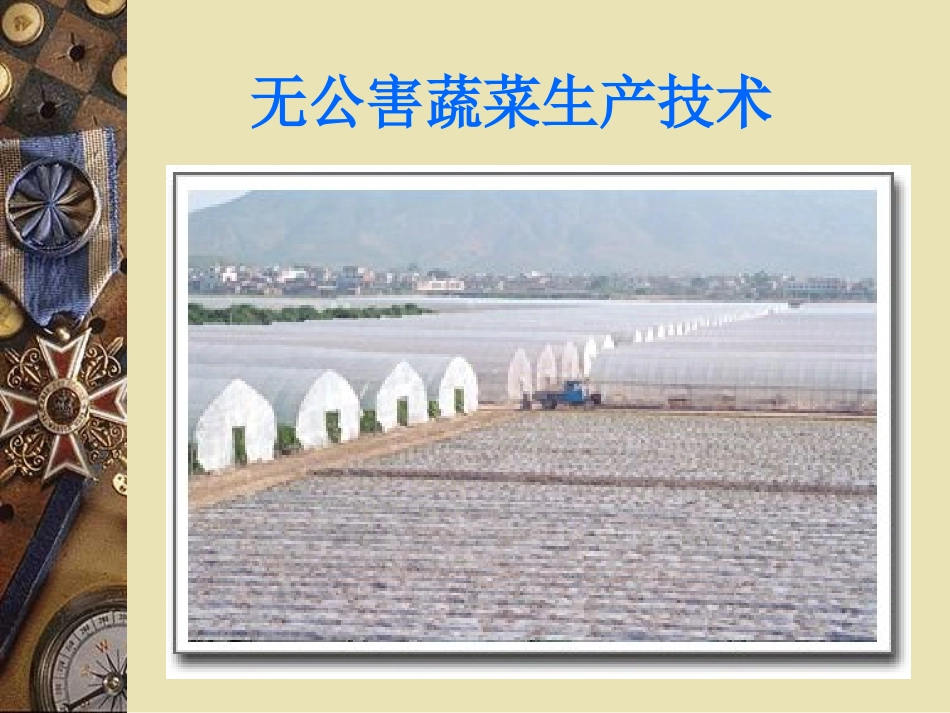 无公害蔬菜生产技术_第1页