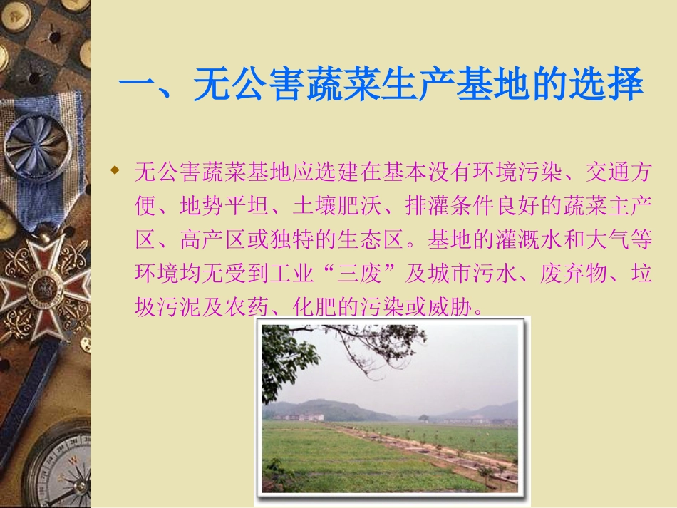 无公害蔬菜生产技术_第2页
