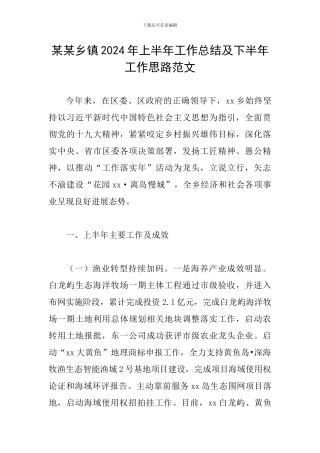 某某乡镇2024年上半年工作总结及下半年工作思路范文