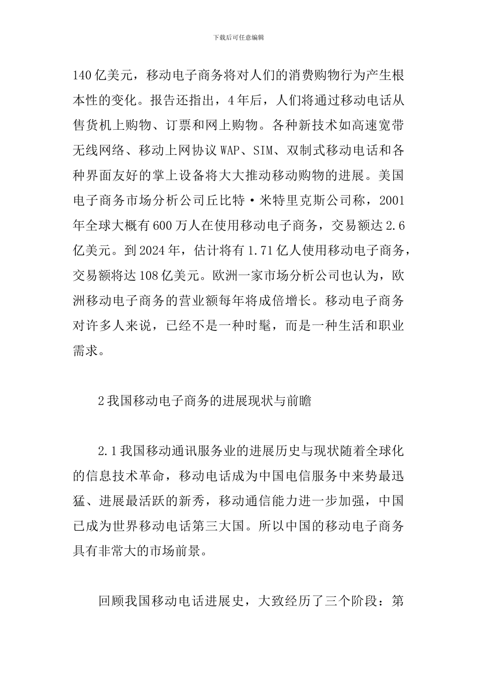 双子无线网络模式发展移动电子商务论文_第3页