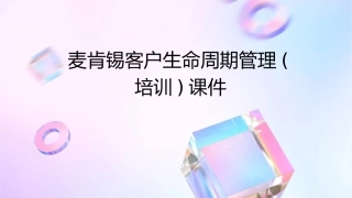 麦肯锡客户生命周期管理(培训)课件
