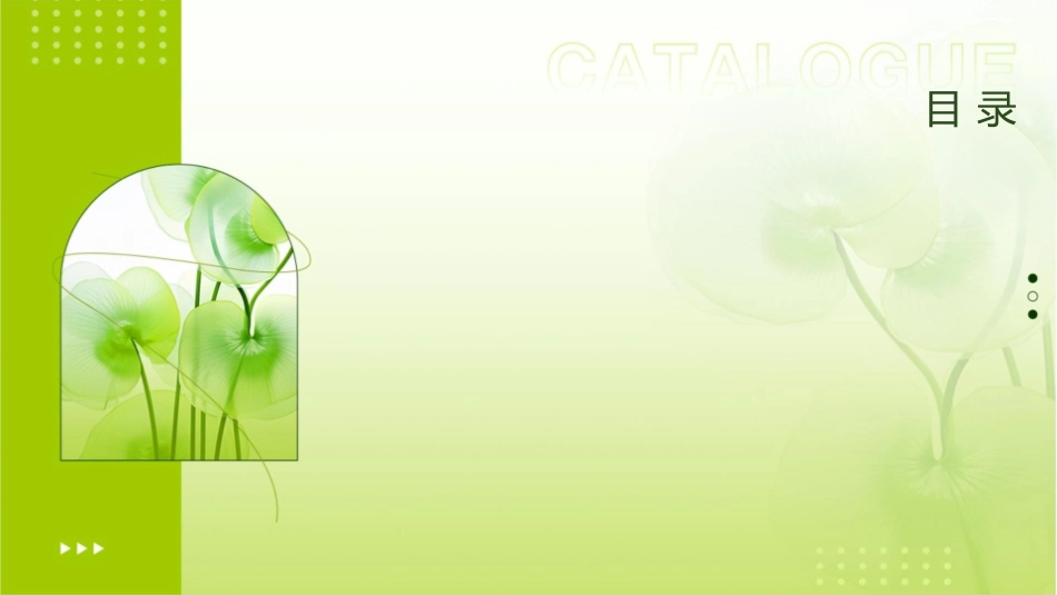 某品牌促销手册智库文档课件_第2页