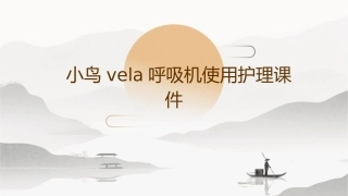 小鸟VELA呼吸机使用护理课件