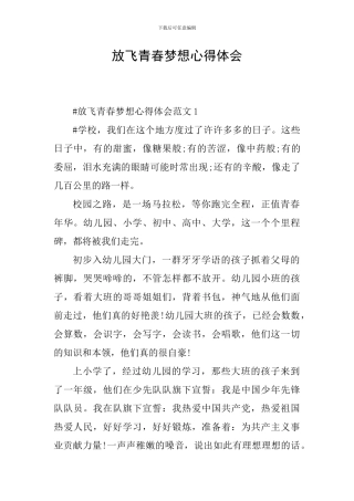 放飞青春梦想心得体会