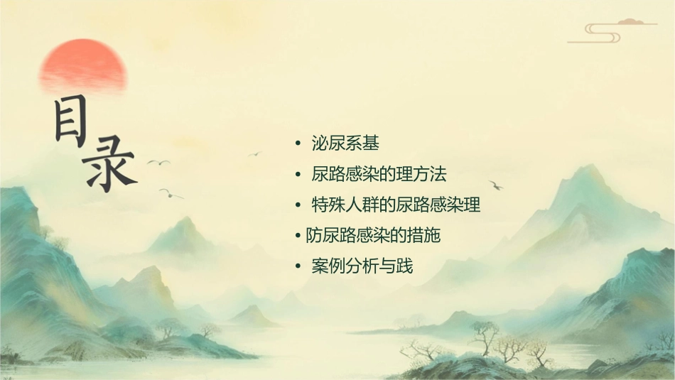 泌尿系统尿路感染护理课件_第2页