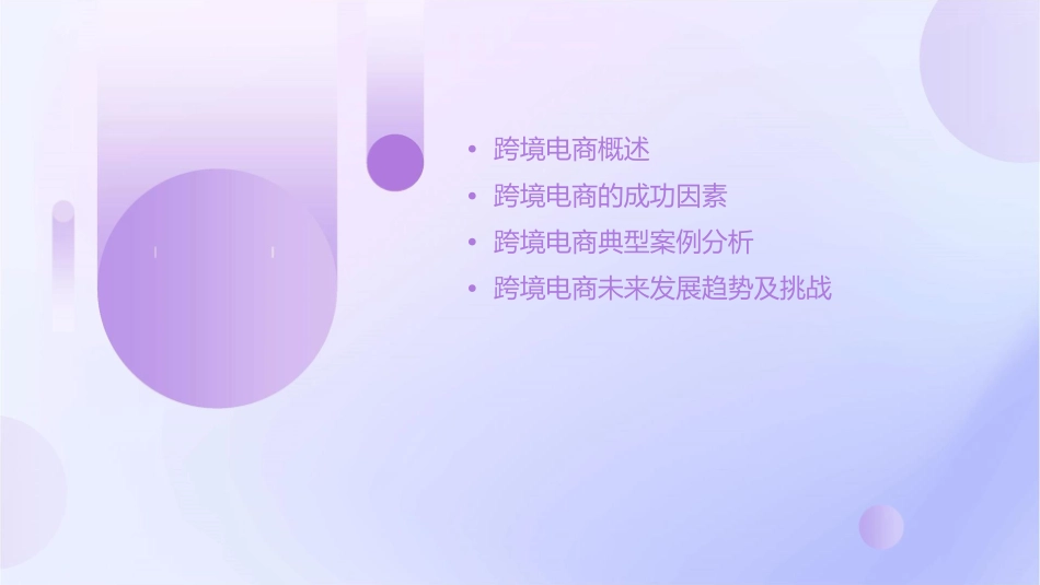 跨境电商案例分析课件_第2页