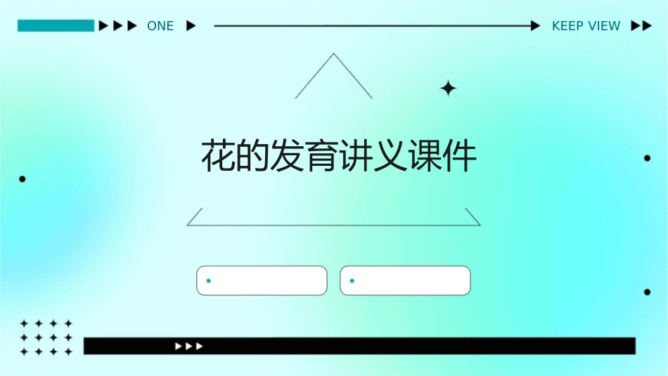 花的发育讲义课件_第1页
