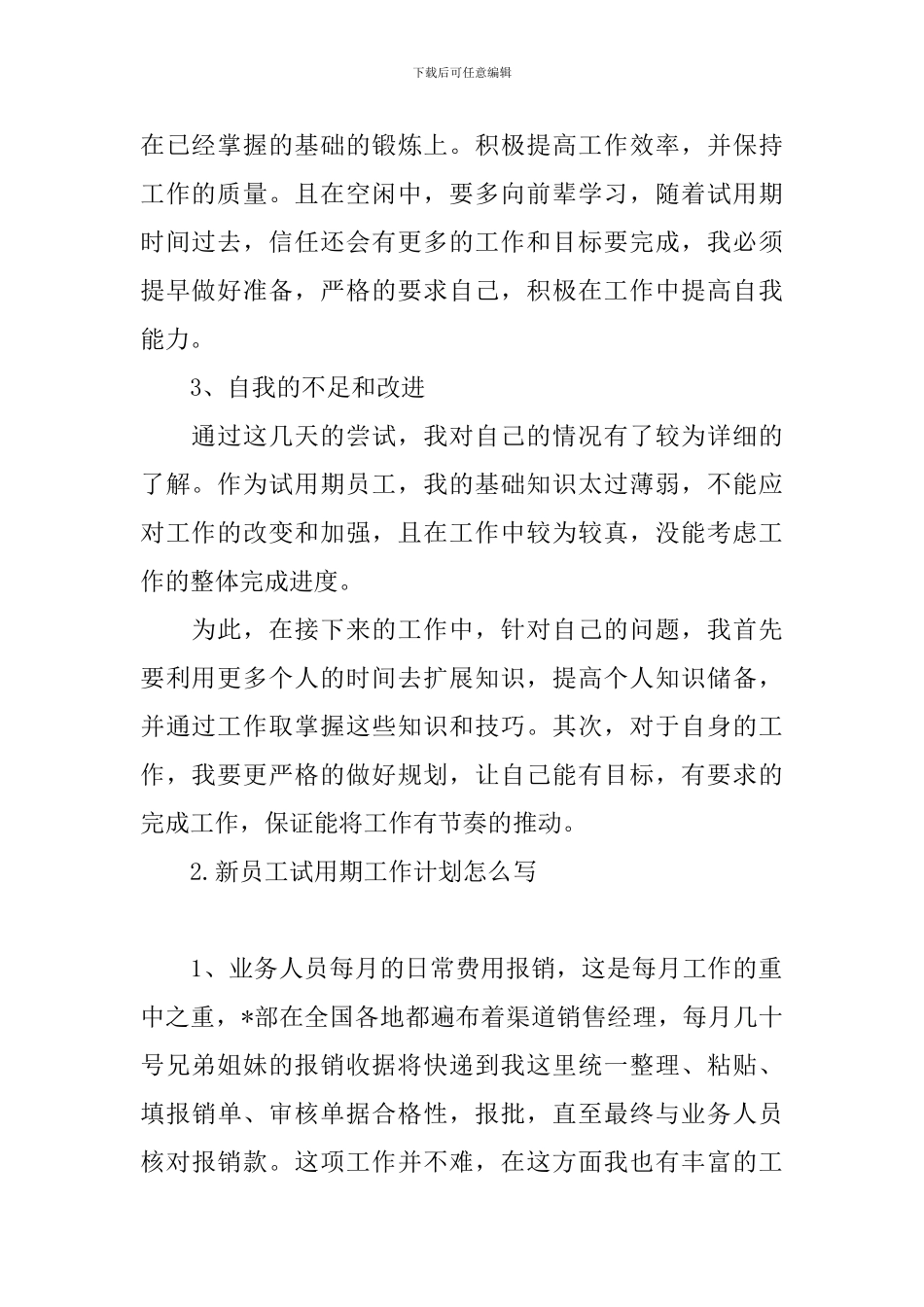 新员工试用期工作计划怎么写_第2页