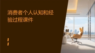 消费者个人认知和经验过程课件