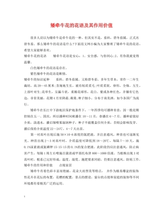 矮牵牛花的花语及其作用价值 