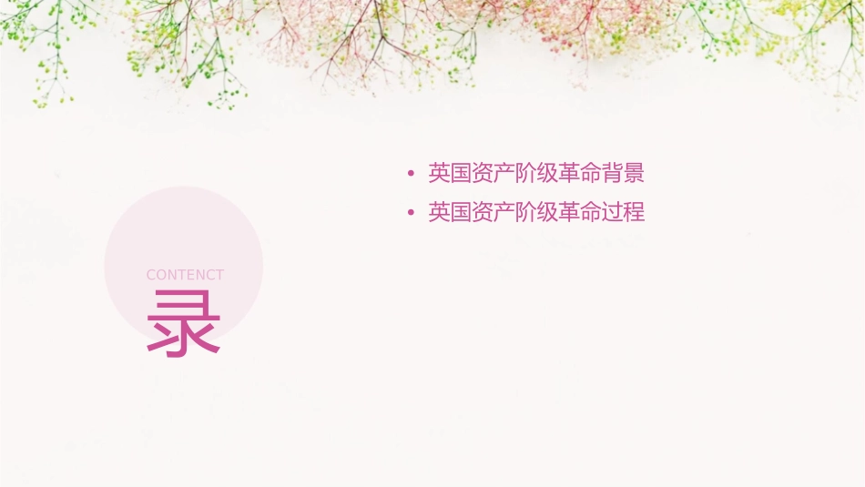 英国资产阶级革命课件_第2页