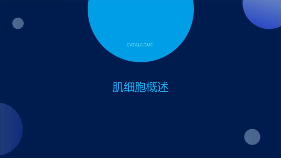 肌细胞的收缩与舒张原理课件_第3页