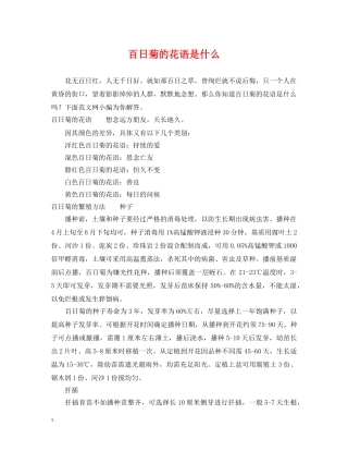 百日菊的花语是什么 