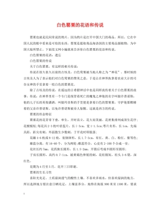 白色罂粟的花语和传说 