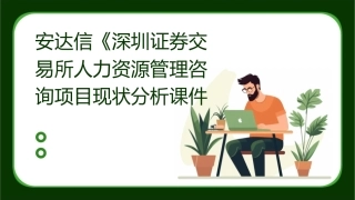 安达信《深圳证券交易所人力资源管理咨询项目现状分析课件
