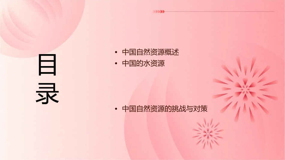 高中区域地理：中国的自然资源课件_第2页