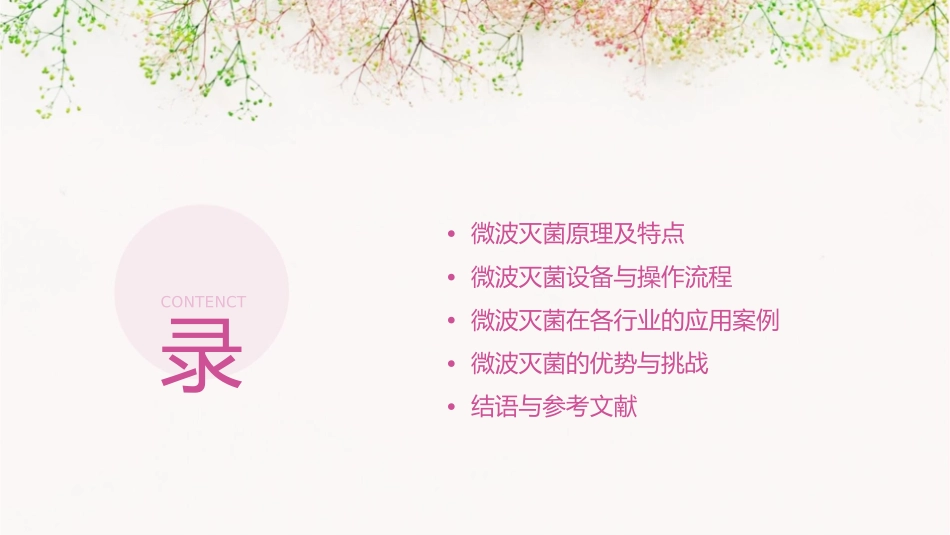 微波灭菌最终定稿课件_第2页