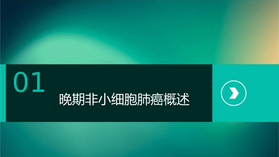 晚期非小细胞肺癌抗血管生成药物不良反应及应对护理课件_第3页