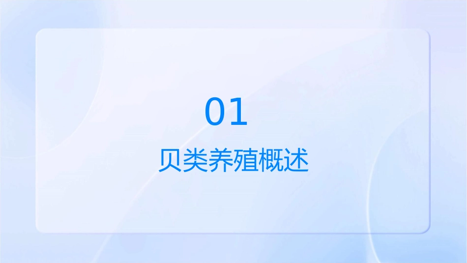 附着型贝类养殖技术贝类通识护理课件_第3页