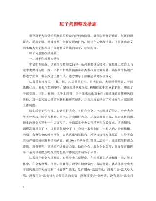班子问题整改措施 