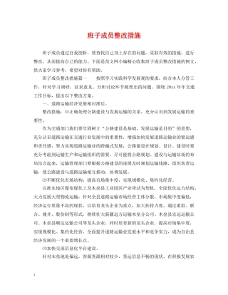 班子成员整改措施 