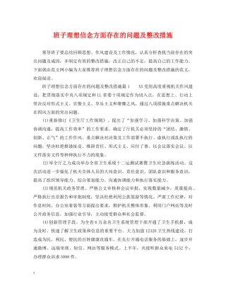 班子理想信念方面存在的问题及整改措施 