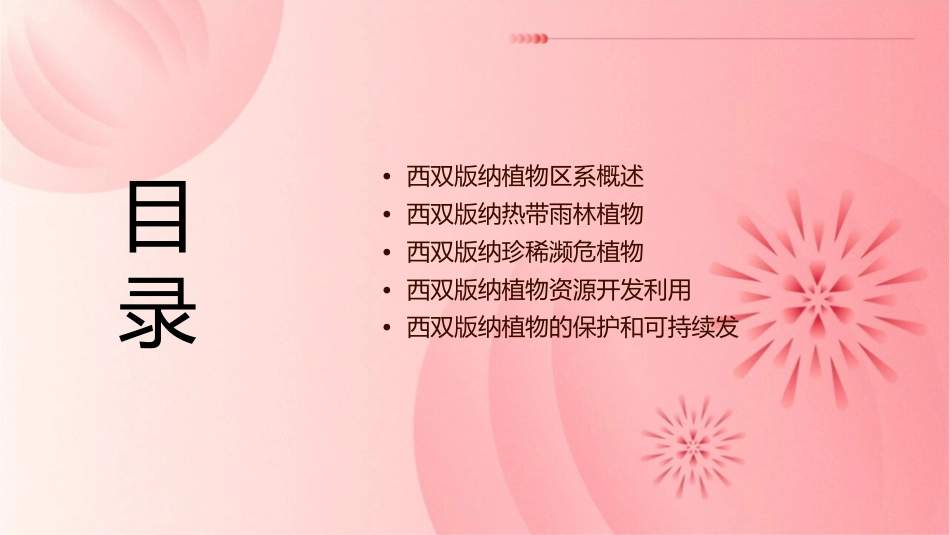 西双版纳植物篇(完稿)课件_第2页