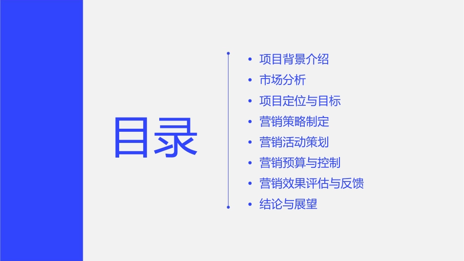 某公司投资某路段项目营销策划报告课件_第2页