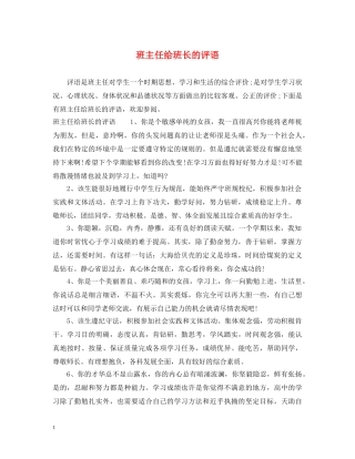 班主任给班长的评语 