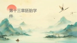 第十三章胚胎学总论课件