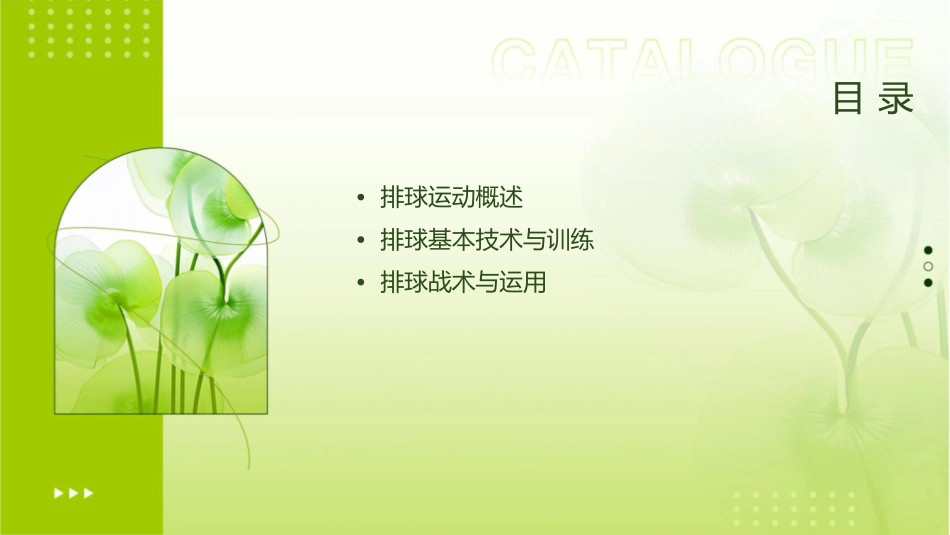 排球运动知识课件_第2页