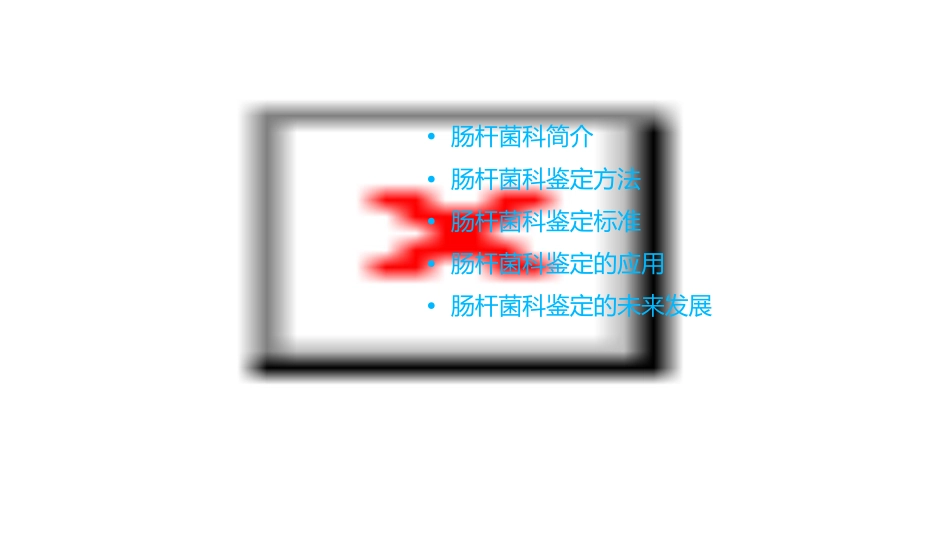 肠杆菌科鉴定(全)课件_第2页