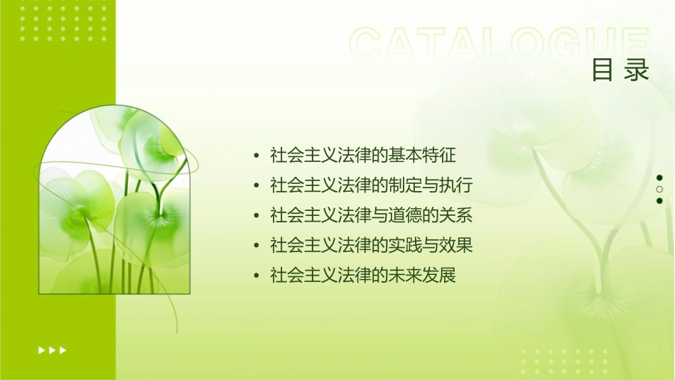 社会主义法律的特征和运行课件_第2页