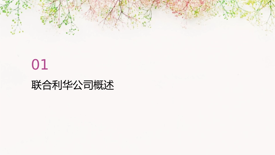 联合利华的供应链资料课件_第3页