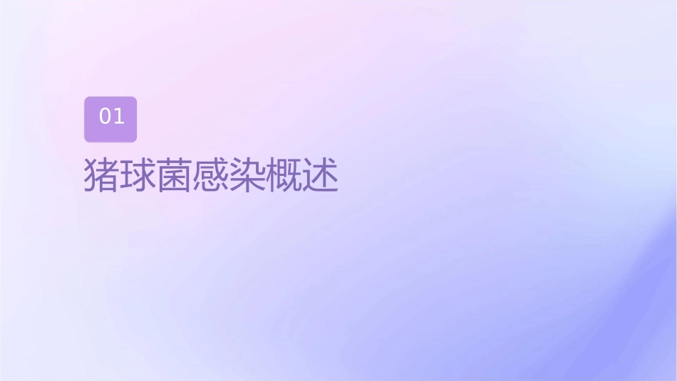 猪链球菌感染查房护理课件_第3页