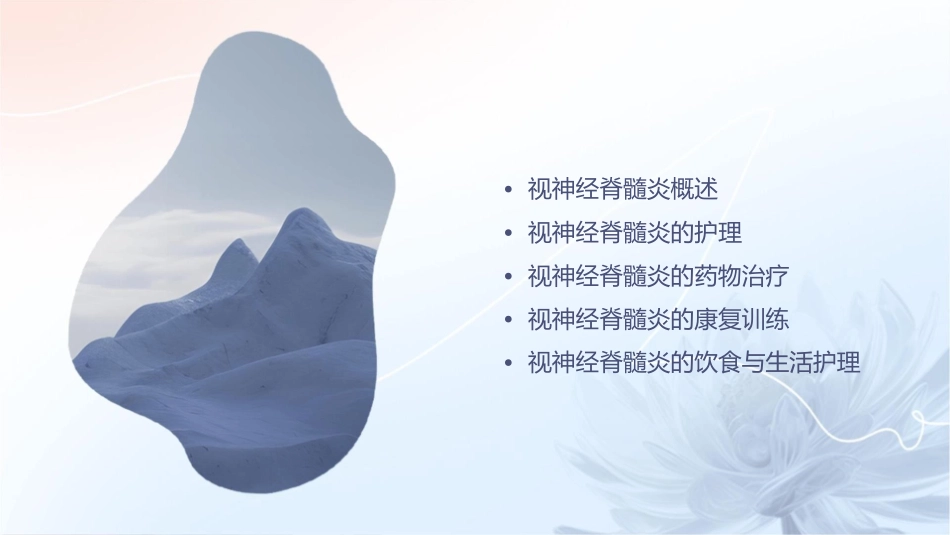 视神经脊髓炎护理课件_第2页