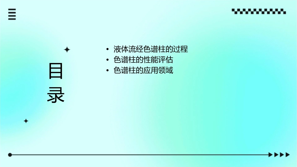 液体流经色谱柱时课件_第2页