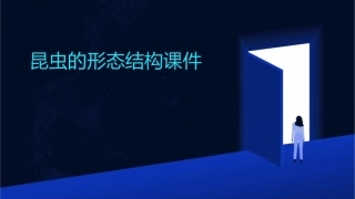 昆虫的形态结构课件