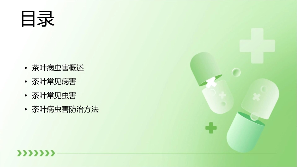 茶叶上常见病虫害汇总课件_第2页