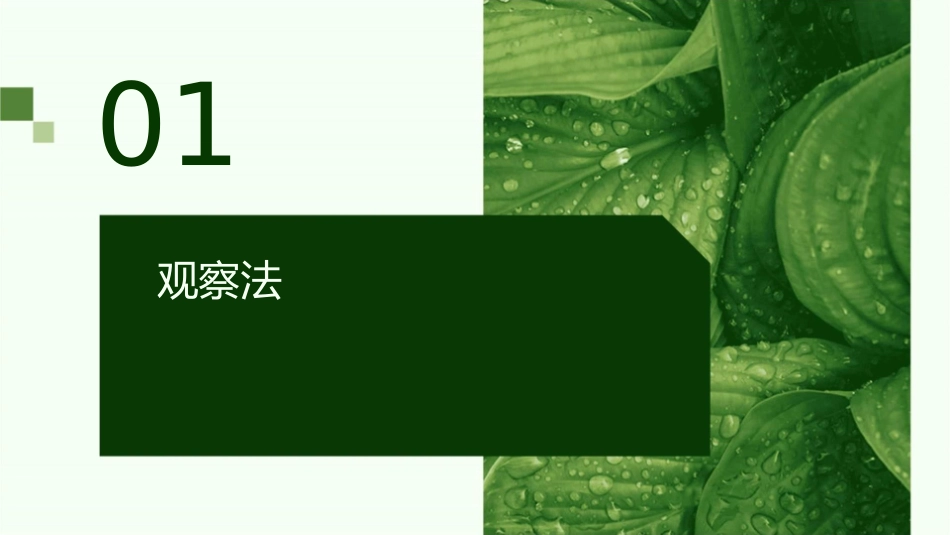 观察法焦点(小组)访谈和其他定性方法课件_第3页