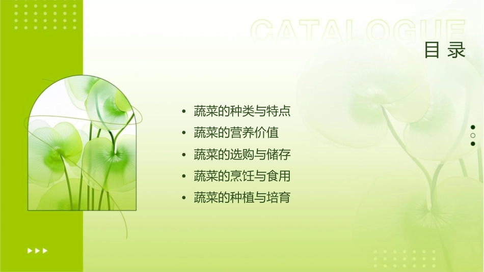 蔬菜知识大比拼课件_第2页
