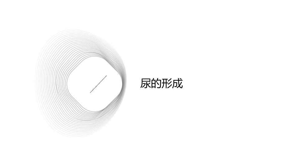 尿的形成与排出课件_第3页